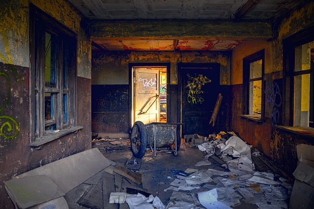 profesionální vyklízení